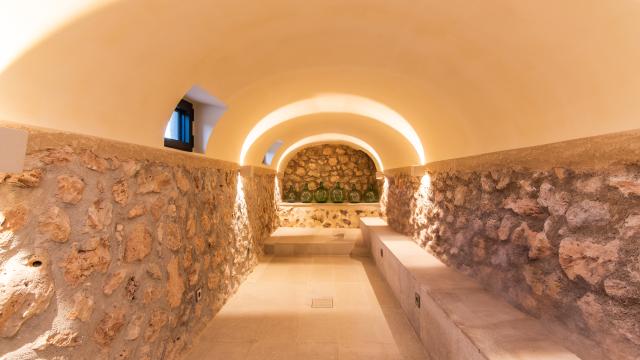 Rural Villa Son Mora