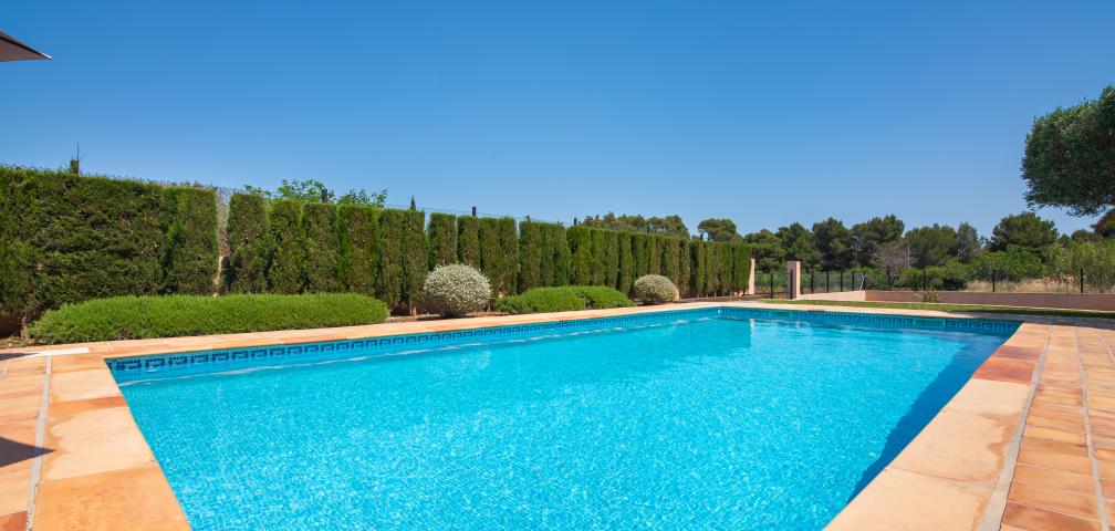 Rural Villa Olivo de Son Jaumell
