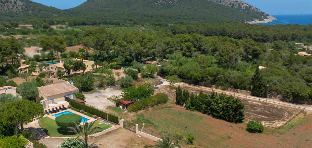 Rural Villa Olivo de Son Jaumell