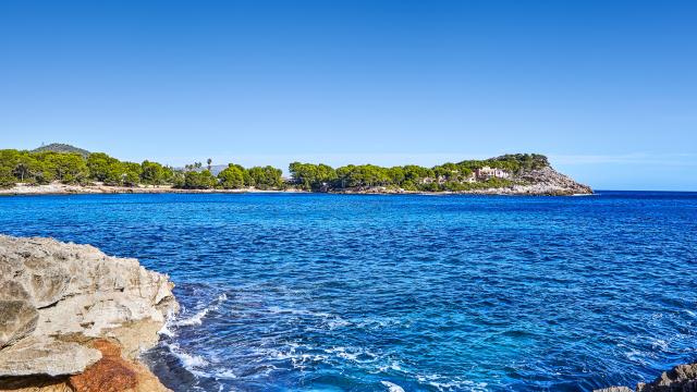 Urban Villa Sunshine