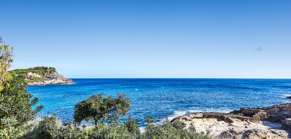 Urban Villa Sunshine