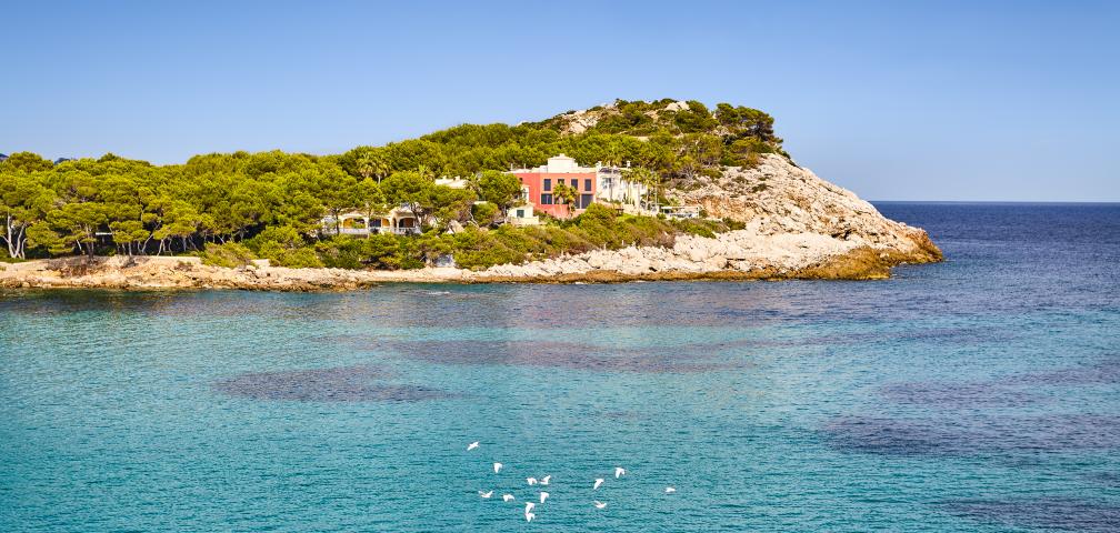 Urban Villa Sunshine