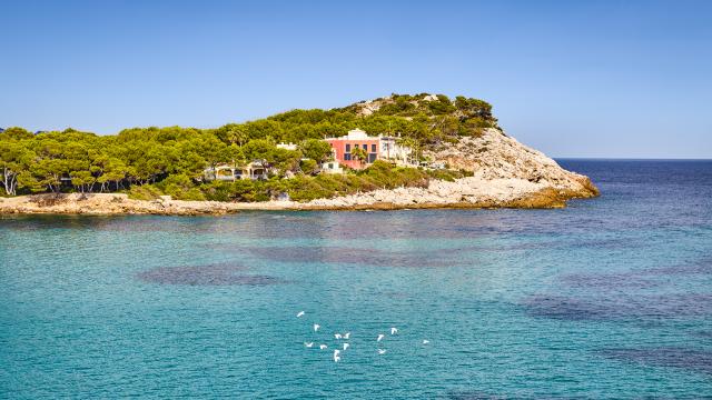 Urban Villa Sunshine