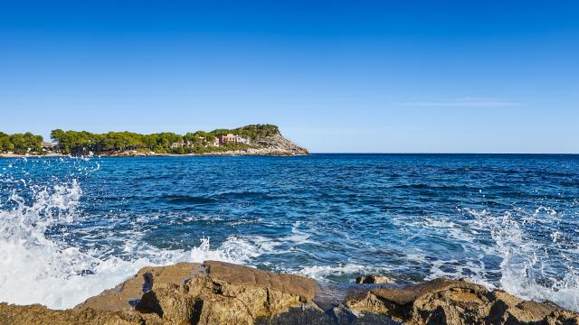 Urban Villa Sunshine