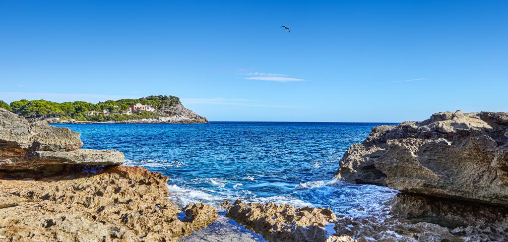 Urban Villa Sunshine