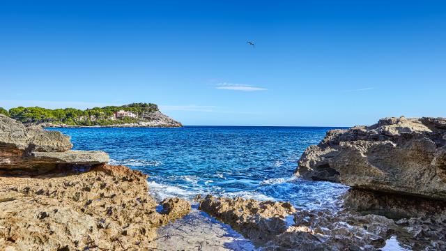 Urban Villa Sunshine