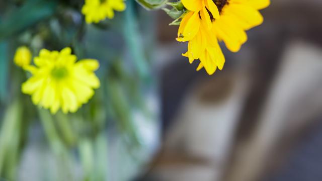 Urban Villa Sunshine