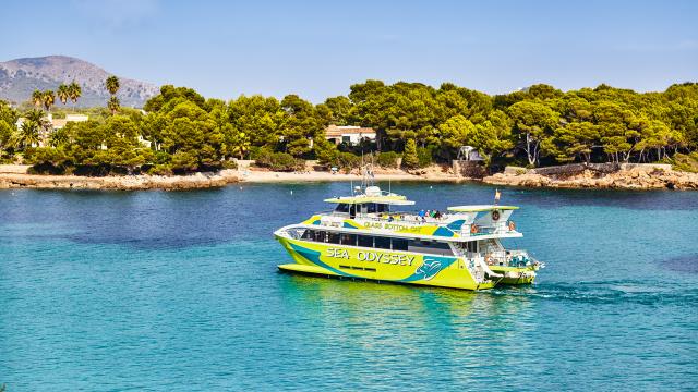 Urban Villa Sunshine