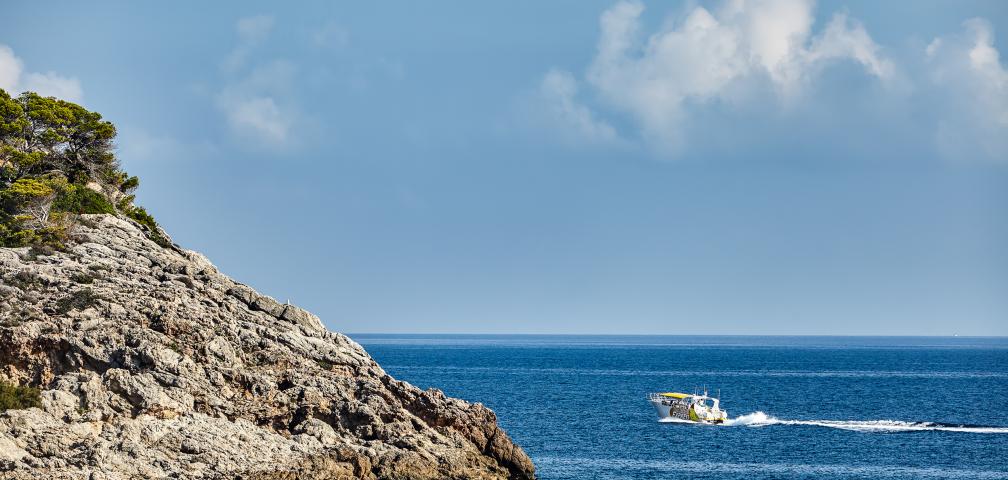 Urban Villa Sunshine