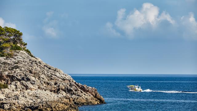 Urban Villa Sunshine