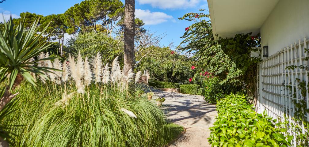 Urban Villa Sunshine