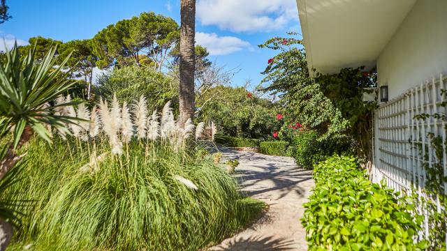 Urban Villa Sunshine