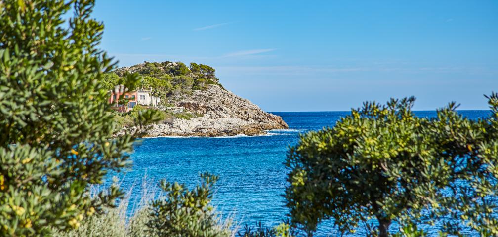 Urban Villa Sunshine