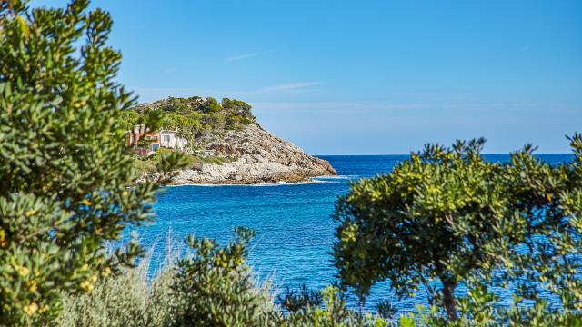 Urban Villa Sunshine