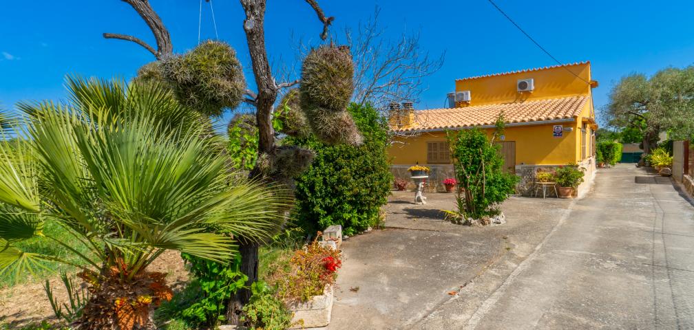 Rural Villa Sa Sini