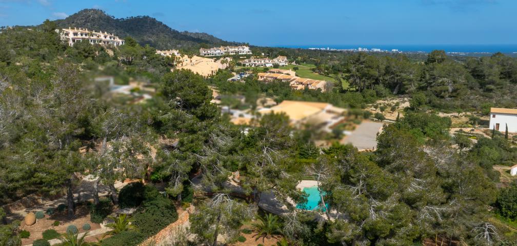 Rural Villa Sa Caseta  D'Or