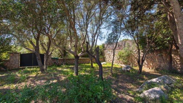 Rural Villa Sos Monjos