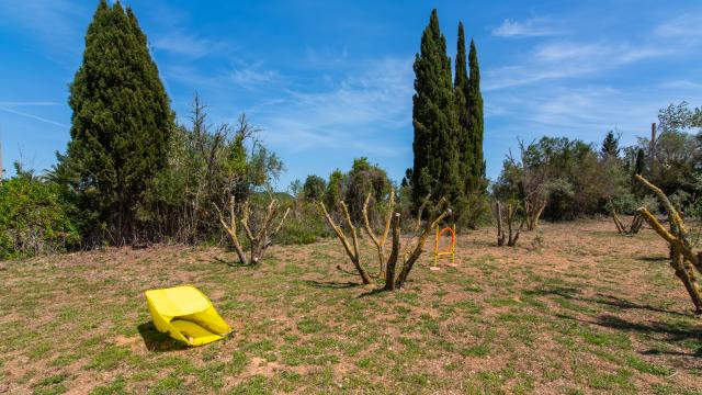 Rural Villa Naranja y Flores