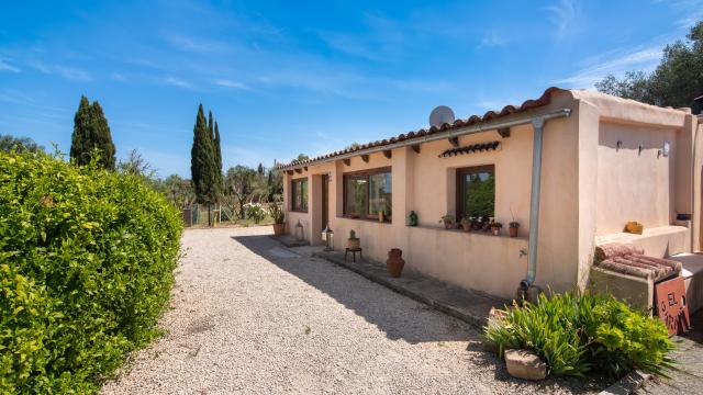 Rural Villa Naranja y Flores