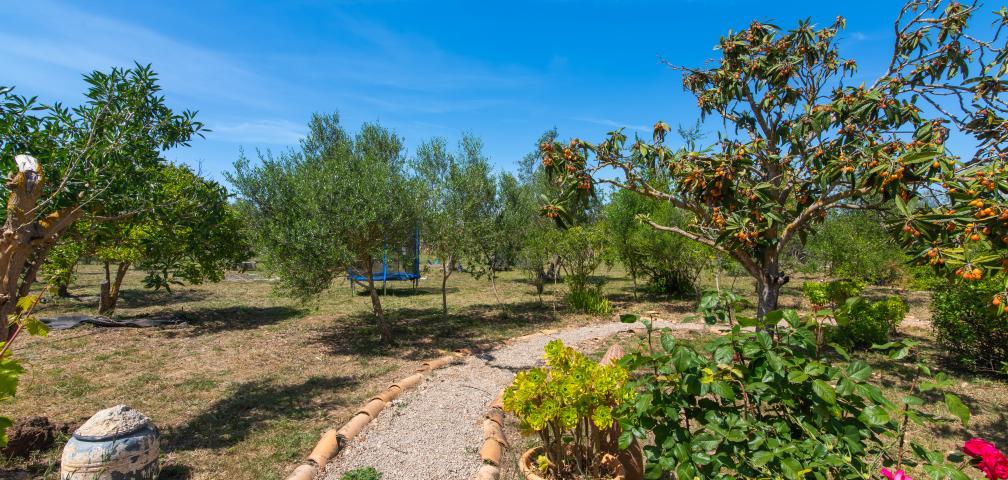 Rural Villa Naranja y Flores