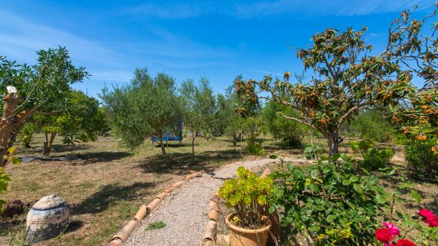 Rural Villa Naranja y Flores