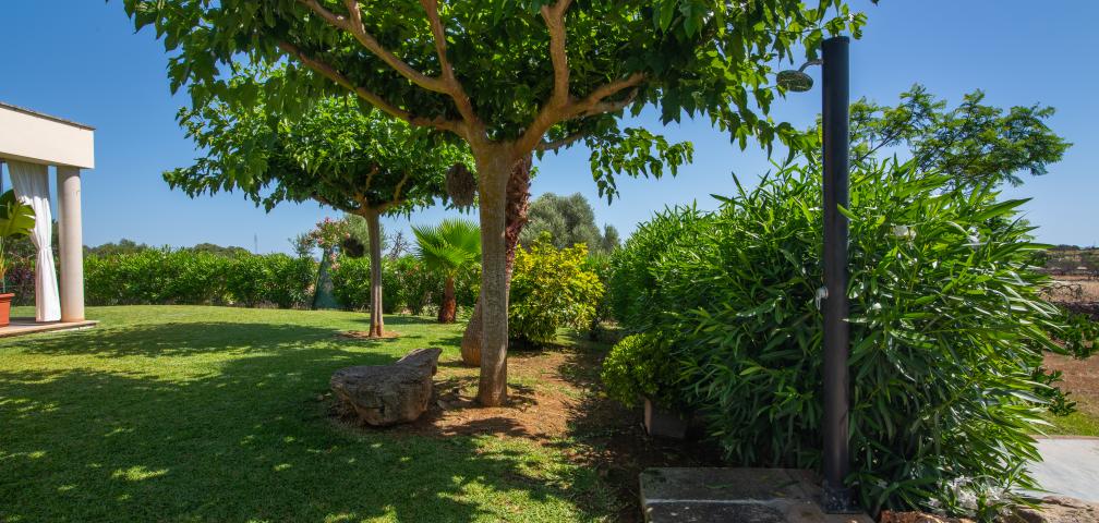 Rural Villa Can Punxet