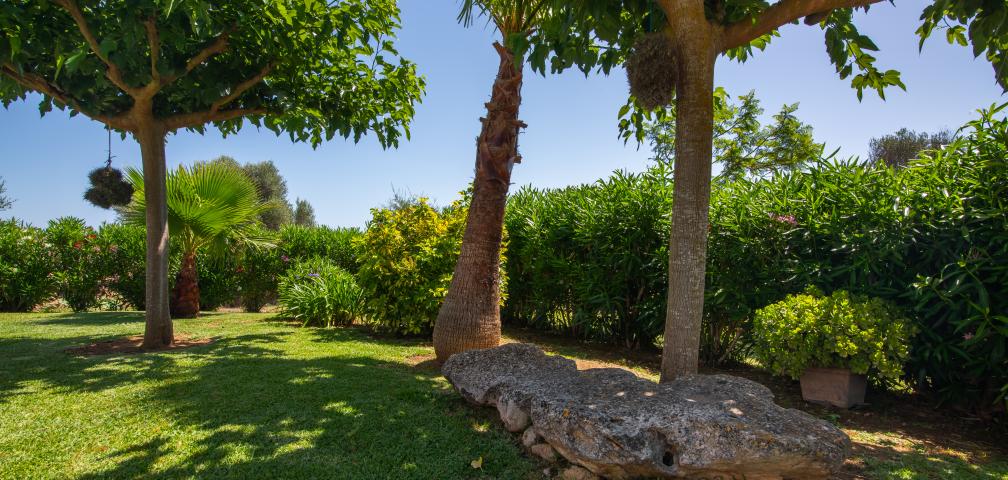 Rural Villa Can Punxet