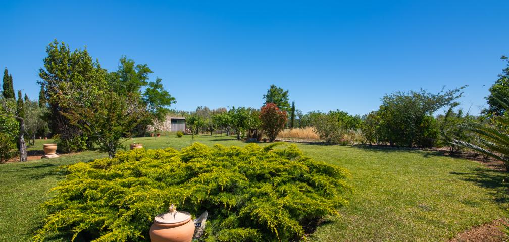 Rural Villa Moliner Almadrava