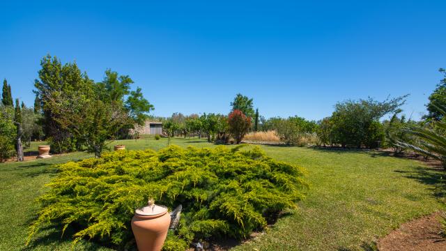 Rural Villa Moliner Almadrava