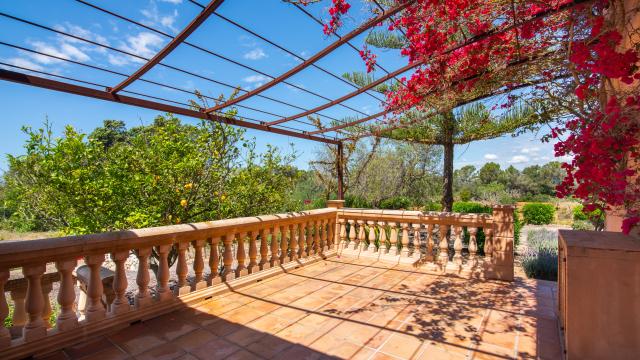 Rural Villa Feliz