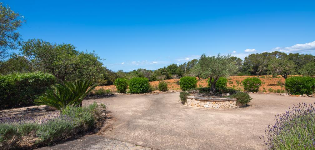 Rural Villa Feliz