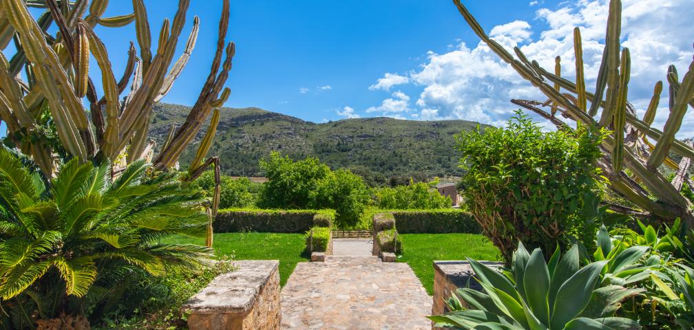 Rural Villa Son Simo Vell