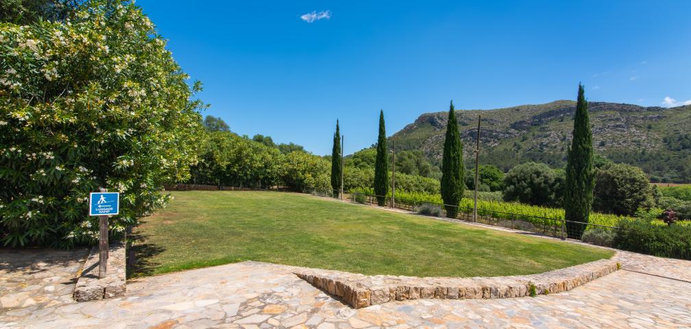 Rural Villa Son Simo Vell