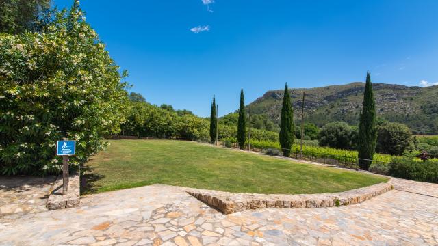 Rural Villa Son Simo Vell