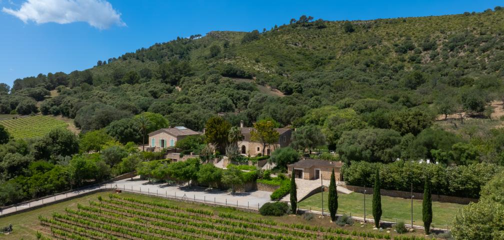 Rural Villa Son Simo Vell