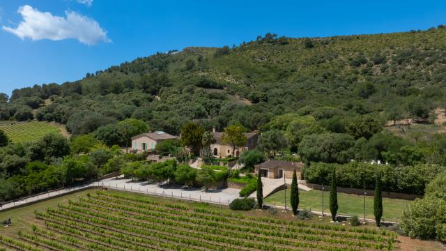 Rural Villa Son Simo Vell