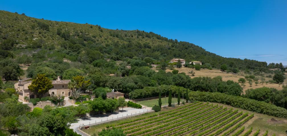 Rural Villa Son Simo Vell
