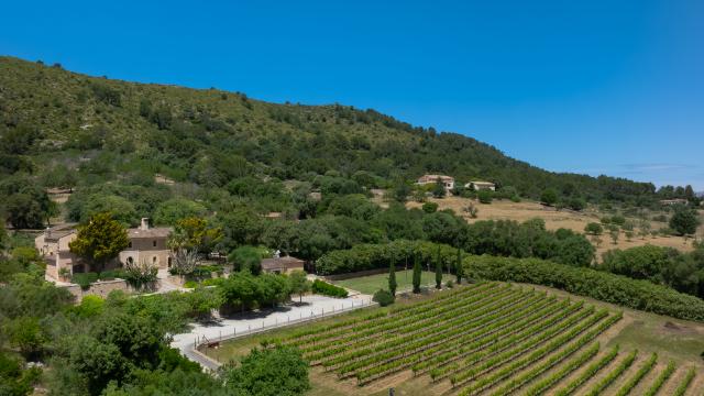 Rural Villa Son Simo Vell
