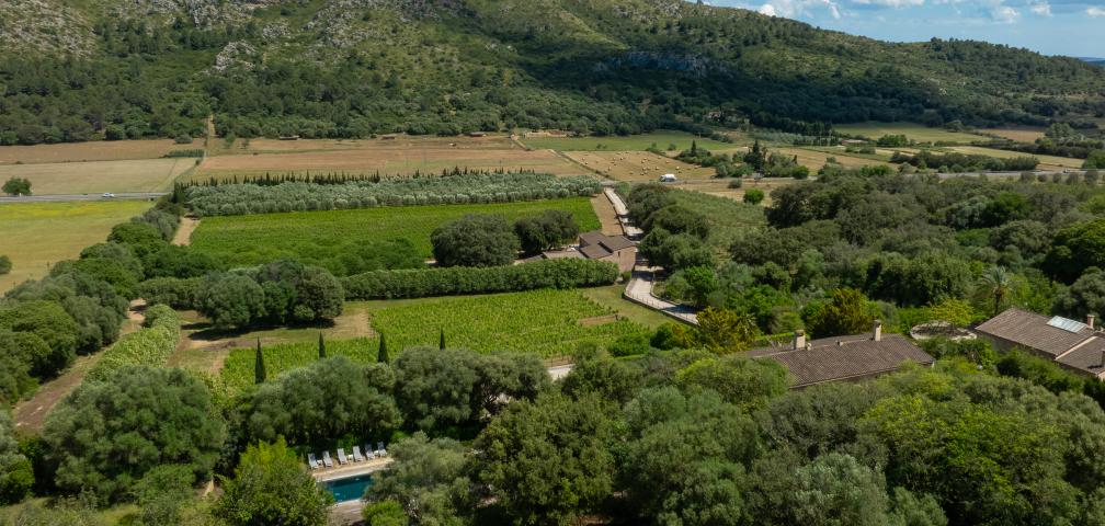 Rural Villa Son Simo Vell