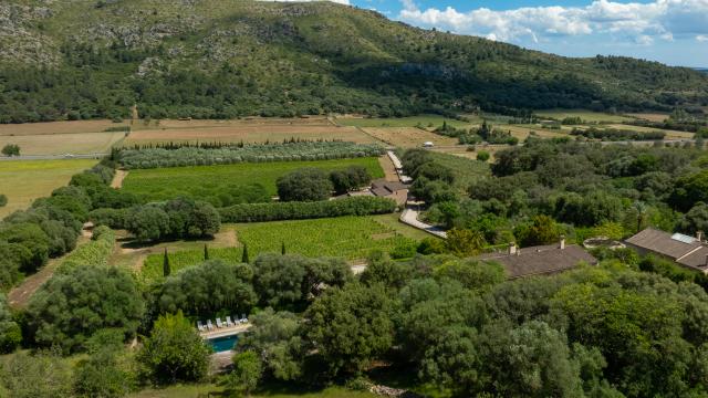 Rural Villa Son Simo Vell