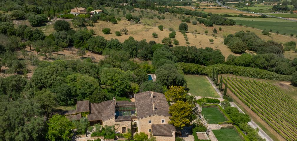 Rural Villa Son Simo Vell