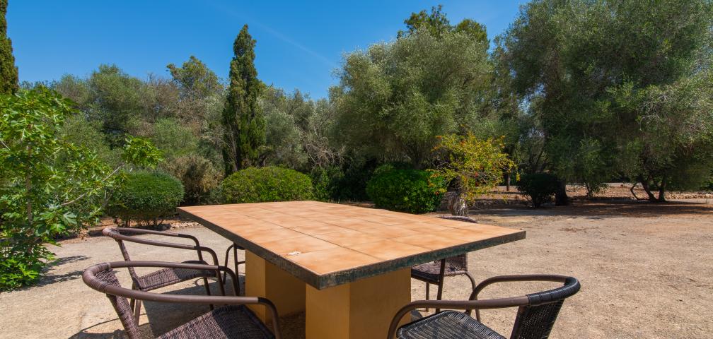 Rural Villa Ses Cases