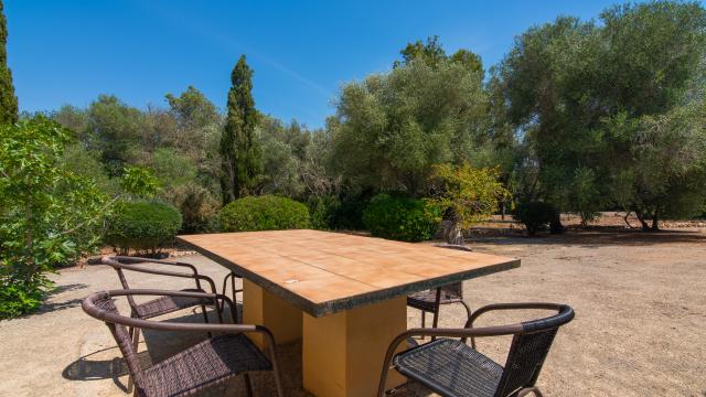 Rural Villa Ses Cases