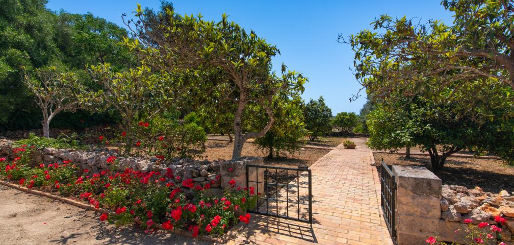 Rural Villa Ses Cases