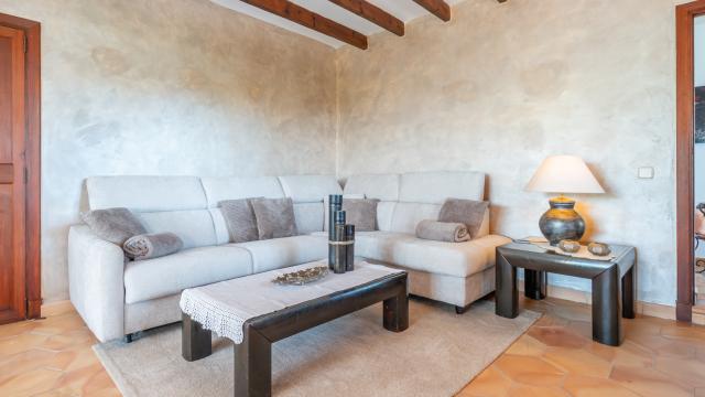 Rural Villa Martijoan