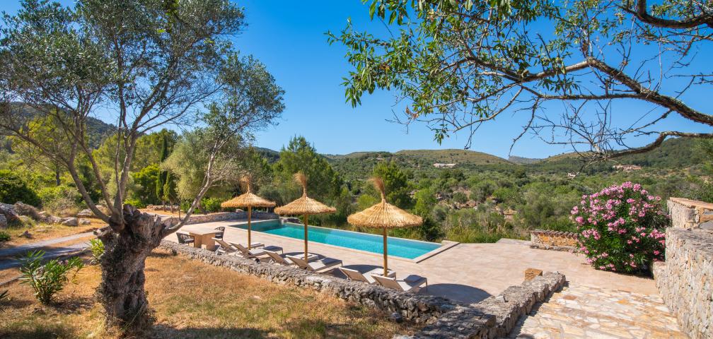 Rural Villa Son Espino