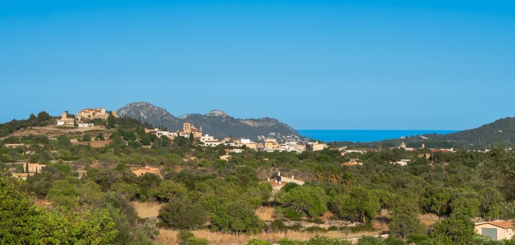 Rural Villa Son Espino