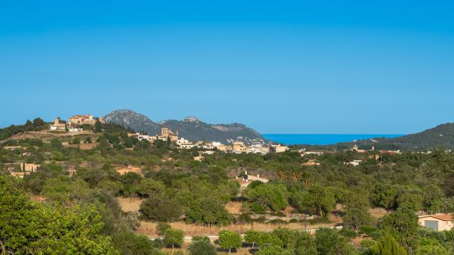 Rural Villa Son Espino
