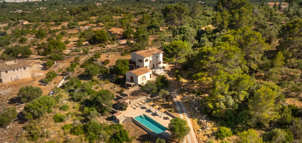 Rural Villa Son Espino