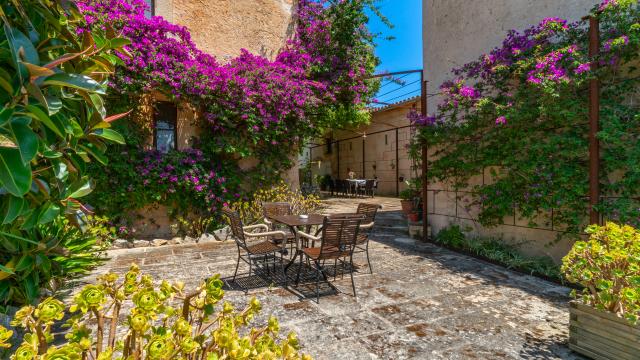 Rural Villa Son Favar